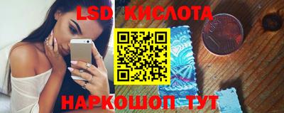 шишки Можга