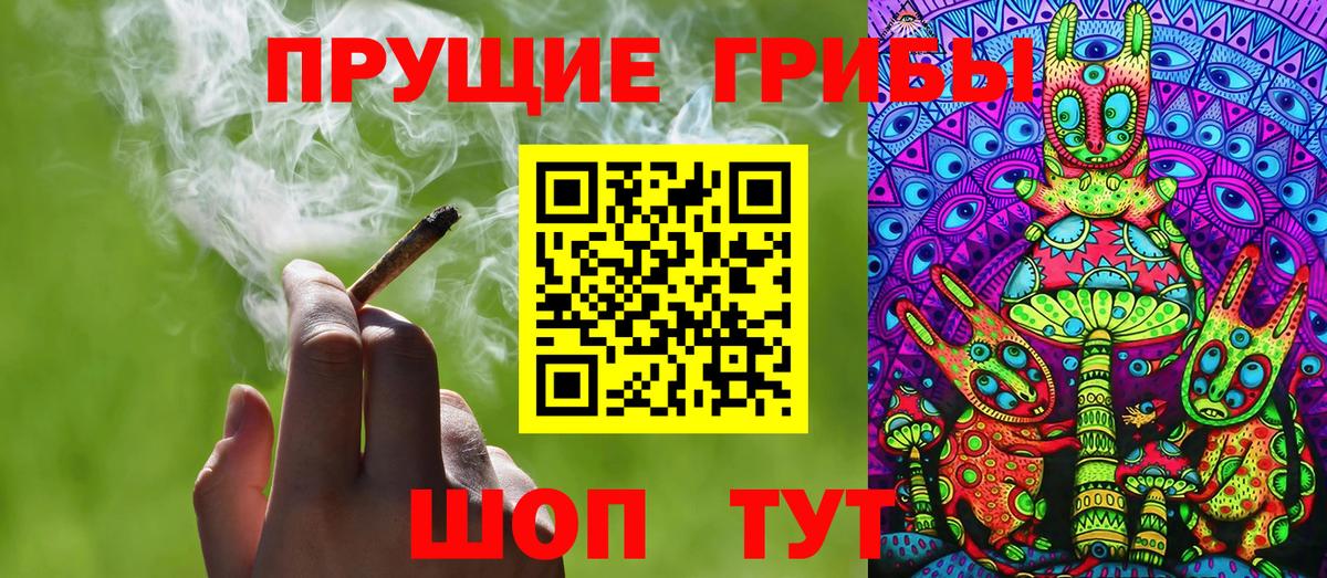 Псилоцибиновые грибы GOLDEN TEACHER Глазов