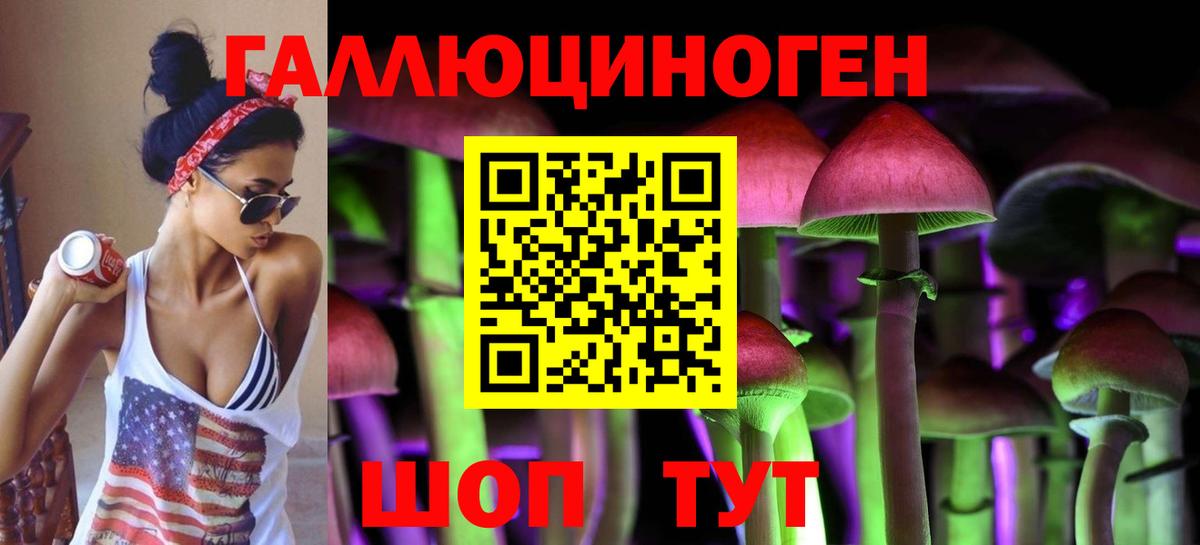 Псилоцибиновые грибы GOLDEN TEACHER  Вход с VPN  Глазов 