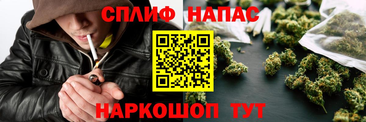 Бошки Шишки планчик Глазов
